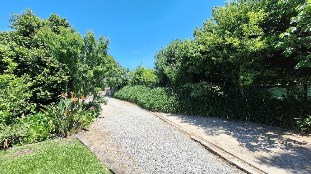 Détail du jardin