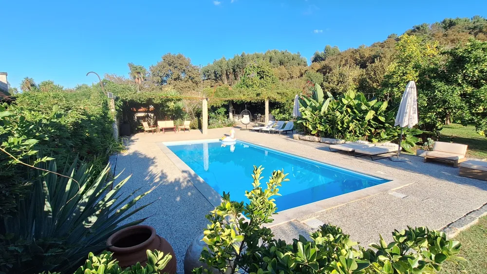 Piscine entourée de verdure