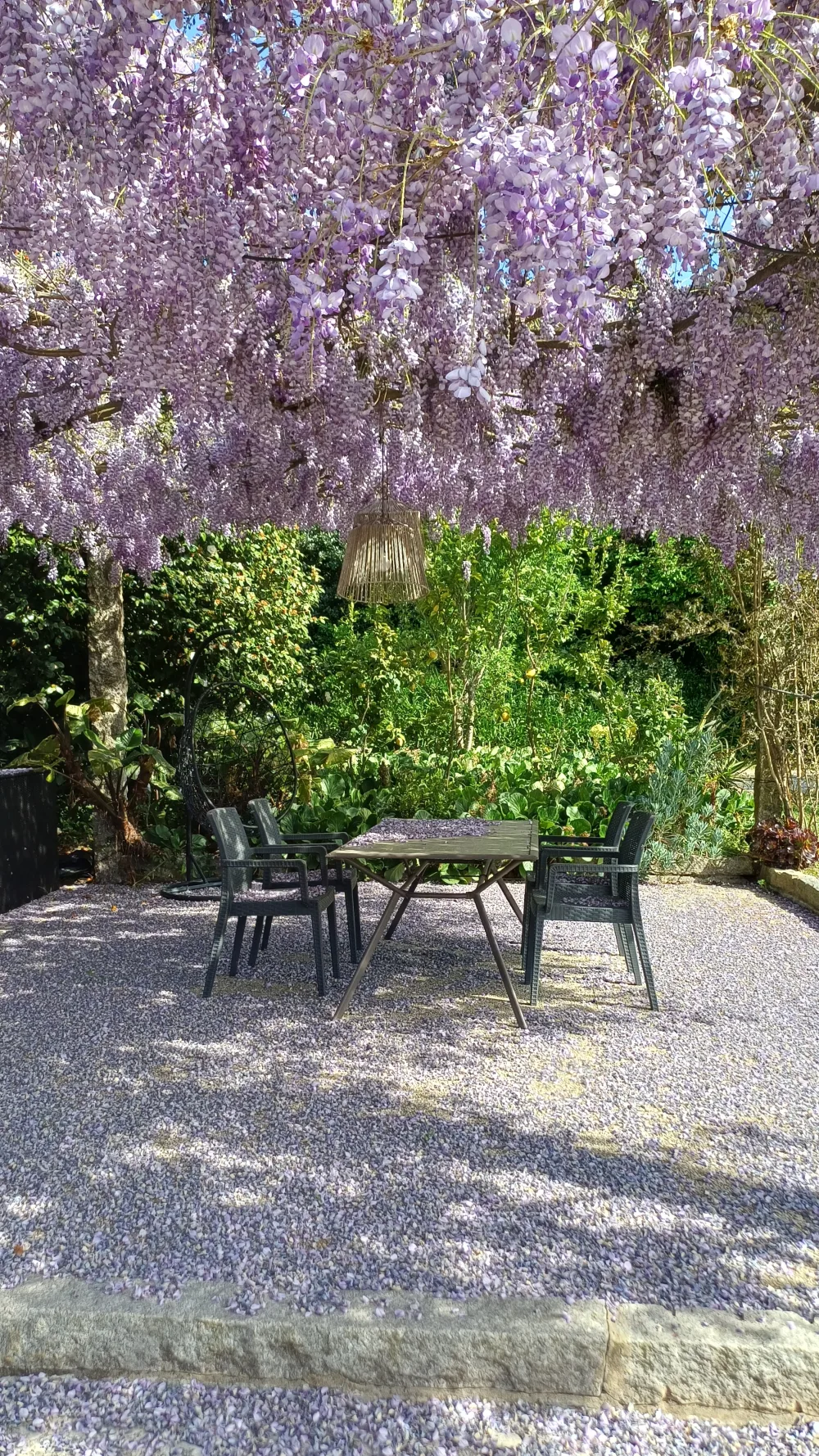 Les glycines et les repas en terrasse