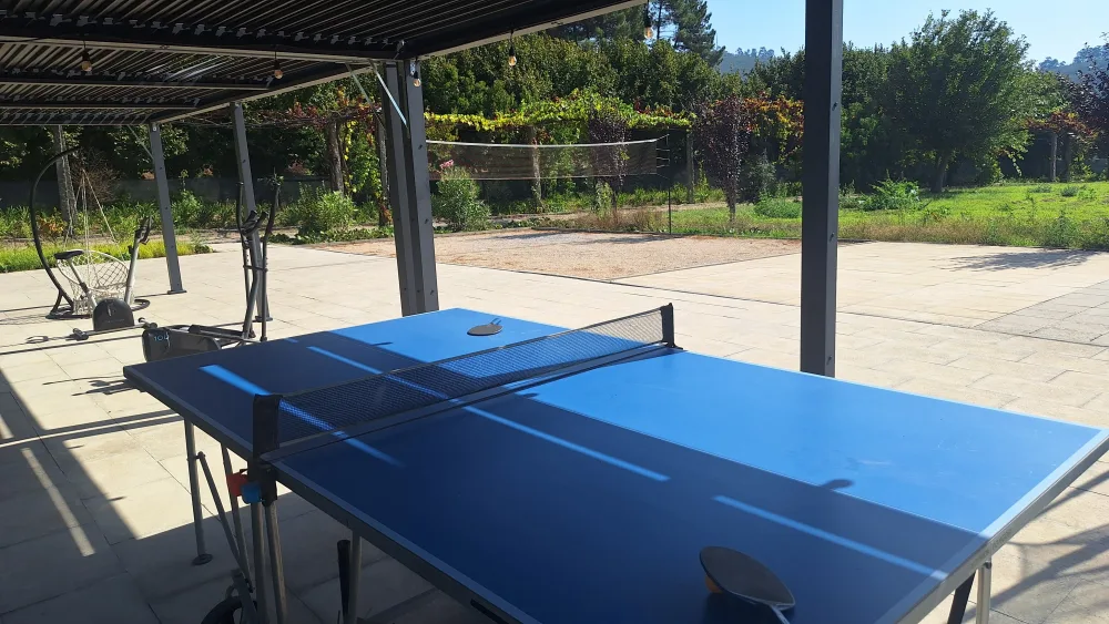 Tennis de table